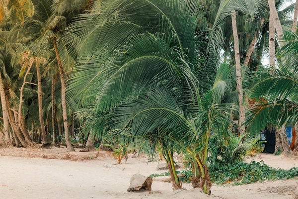 Trouvez l'utilitaire idéal à lille pour vos besoins de transport